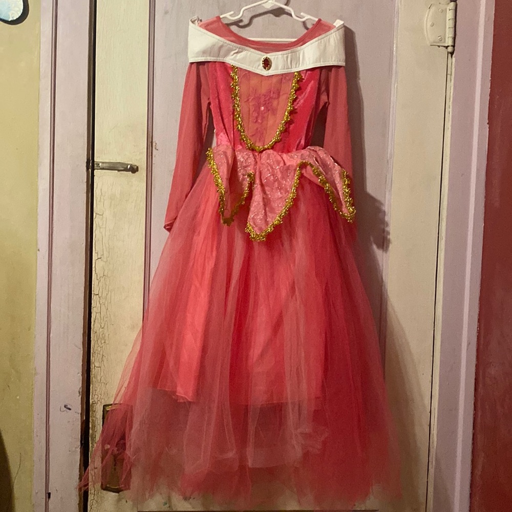 Sleeping beauty princess dress